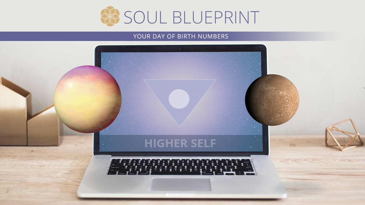 Numerologist PRO Soul Blueprint and Name Report and MORE pricing