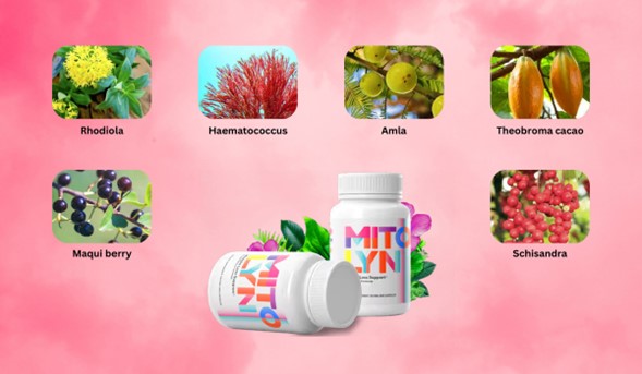 mitolyn diet supplement