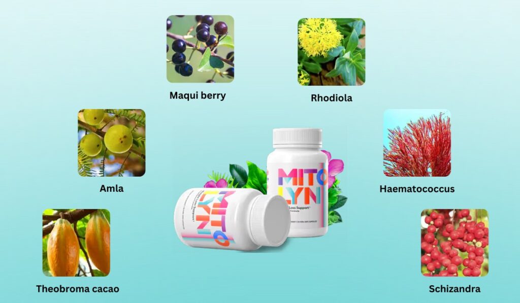diet for weight loss